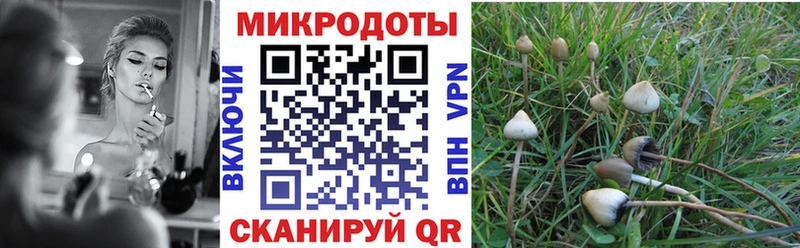 Купить  Подольск  Галлюциногенные грибы Cubensis 